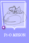 Pi-0 Meson