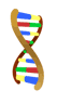 DNA picture