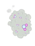 Gas (Steam) Gas matter example