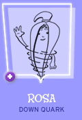 Rosa Down Quark