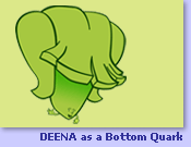 Bottom Quark