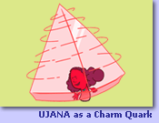 Charm Quark