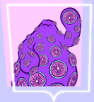 Higgs Higgs